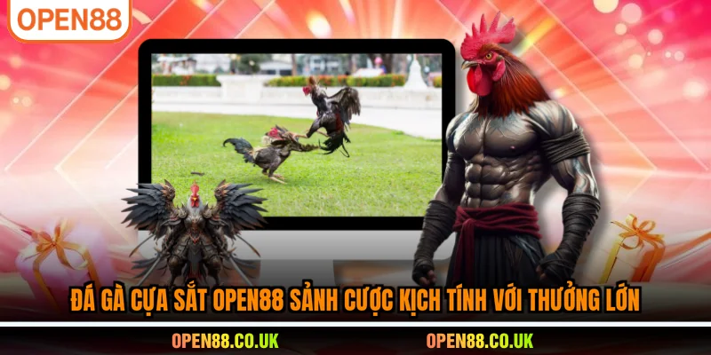 Đá Gà Cựa Sắt OPEN88 sảnh cược kịch tính với thưởng lớn