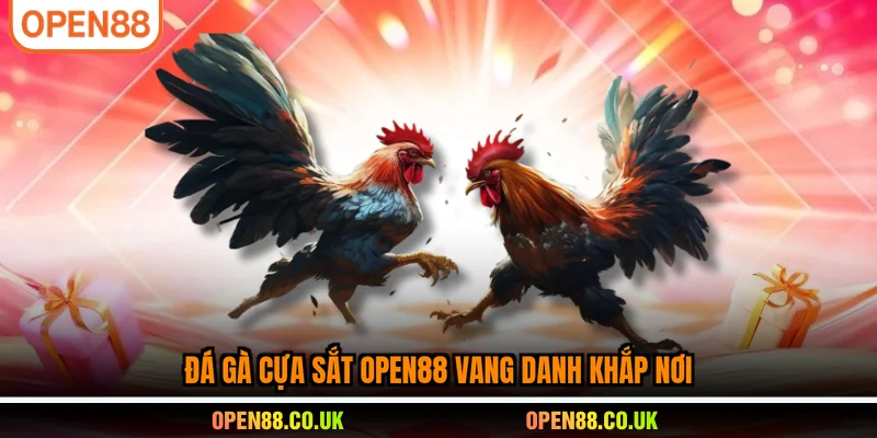 Đá gà cựa sắt OPEN88 vang danh khắp nơi