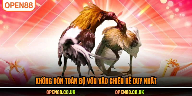 Không dồn toàn bộ vốn vào chiến kê duy nhất